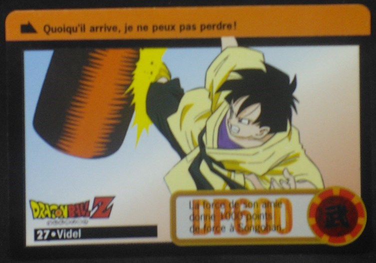 Carddass fr Part 17 n°27 (total n°673) (1995)