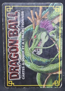 carte dragon ball z Cartes À Jouer Et À Collectionner (JCC) Part 3 n°D-252 (2006) bandai majin vegeta trunks dbz cardamehdz