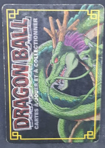 carte dragon ball z Cartes À Jouer Et À Collectionner (JCC) Part 5 n°D-443 (2007) (pouvoir caché monde de kaio) bandai barta dbz cardamehdz
