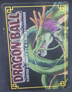 carte dragon ball z Cartes À Jouer Et À Collectionner (JCC) Part 7 n°D-703 (2008) bandai mirai trunks mirai gohan dbz cardamehdz