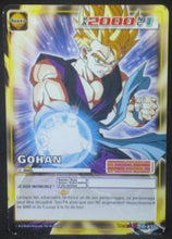 Charger l'image dans la galerie, carte dragon ball z Cartes à jouer et à collectionner (JCC) Part 10 D-877 (2009) bandai songohan dbz cardamehdz