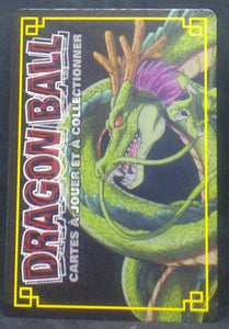 carte dragon ball z Cartes à jouer et à collectionner (JCC) Part 2 D-200 (2006) bandai cyborg 17 et android 18 dbz cardamehdz