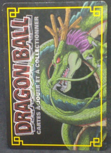 carte dragon ball z Cartes à jouer et à collectionner (JCC) Part 2 D-295 (2006) bandai bacterie dbz cardamehdz