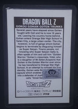 Charger l&#39;image dans la galerie, carte dragon ball z Rami Card Amada Part 94&#39; n°0794G-D (1994) Amada songohan dbz cardamehdz